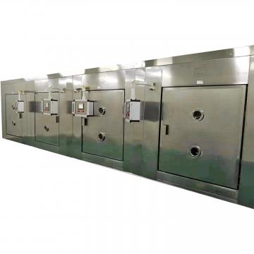 Commercial Continuous Industrial Microwave Tunnel Fruit Leaves Dryer