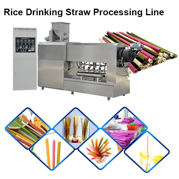 Non Plastic Drinking Straw Extruder Processing Machinery Rice Pasta Straws Manufacturing ... #1 image