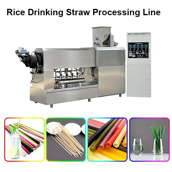 Jinan Sunward 100-150kg/H Edible Rice Making Drinking Straw Machine #1 image
