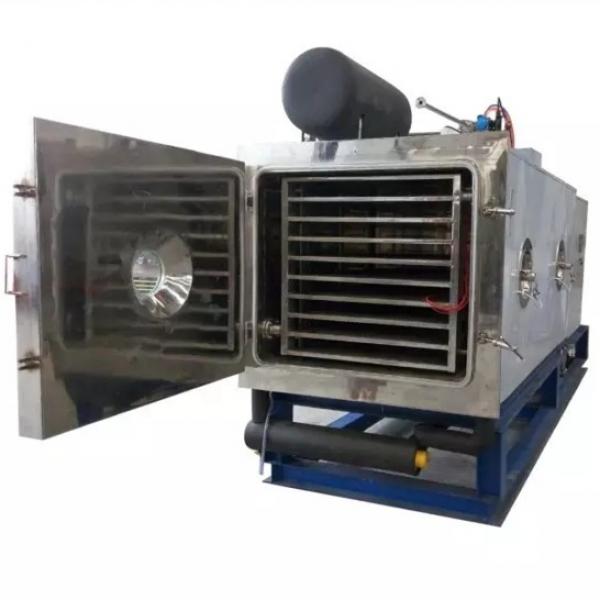 200m² Freeze Drying Pet Food Equipment for Fruit, Vegetable, Meat, Coffee #1 image