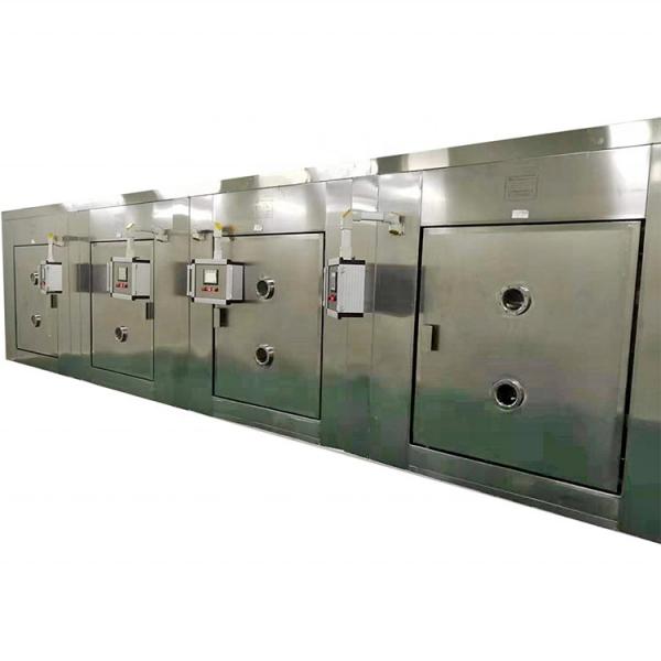 High Quality Most Popular Industrial Continuous Microwave Shrimp Drying Machine Tunnel Microwave Dryer #3 image