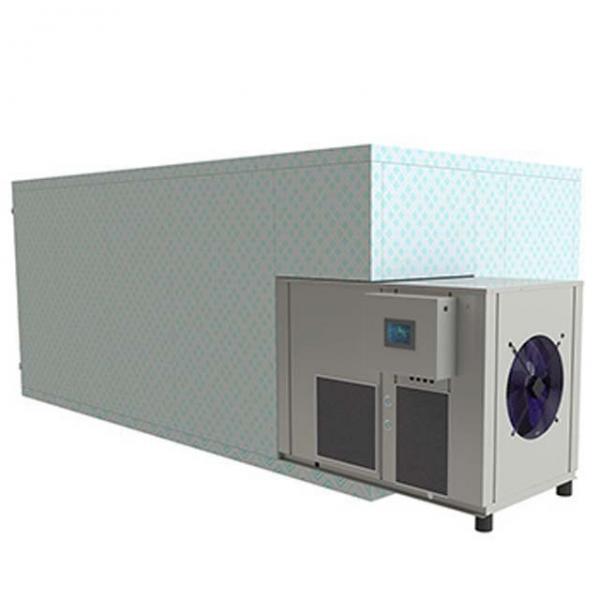 Continuous Tunnel Type Microwave Dryer and Sterilizing for Chili Powder #3 image