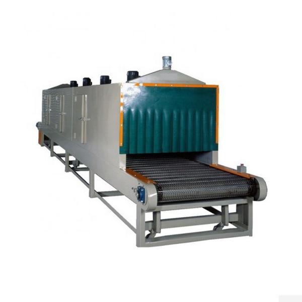 Onion Hot Air Steam Dryer/Mesh Belt Drying Machine #1 image