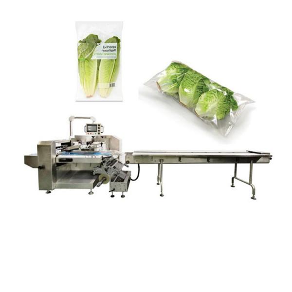 High Yield and High Efficiency Peanut Oil and Vegetable Oil Honey Sauce 0.5L 2L 5L 10L 20L Filling Packing Machinery #1 image